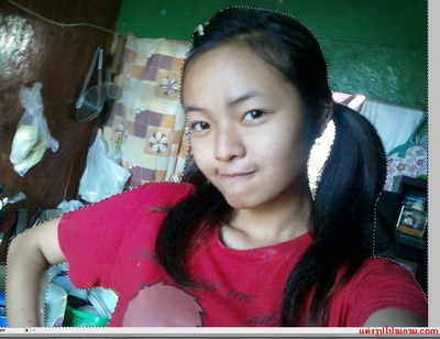 เปลี่ยนฉากหลัง