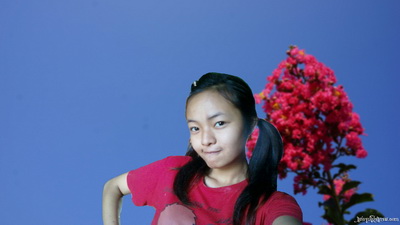 เปลี่ยนฉากหลัง
