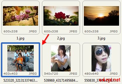 FastStone Image Viewer