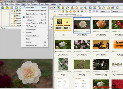 FastStone Image Viewer