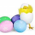 Donate eggs for the children to the NGOs