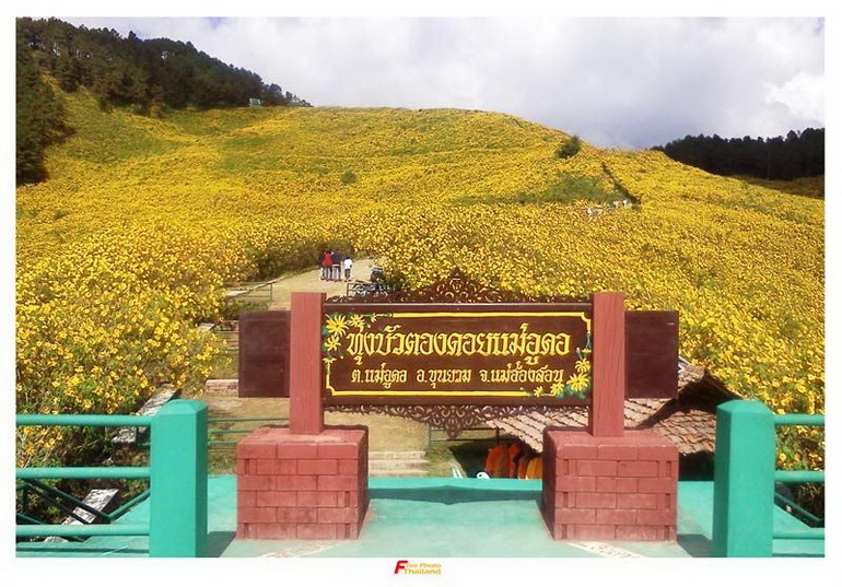 Travel to the Mae Hong Son