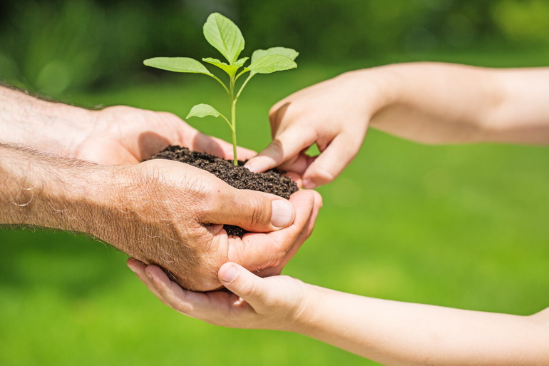 The freshness and colors of Thai fruits