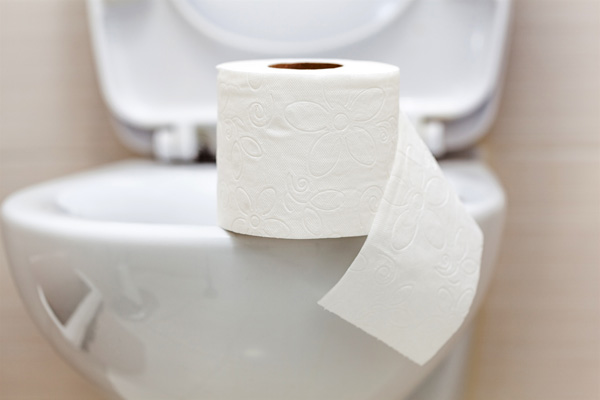 กระดาษชำระ (toilet paper)